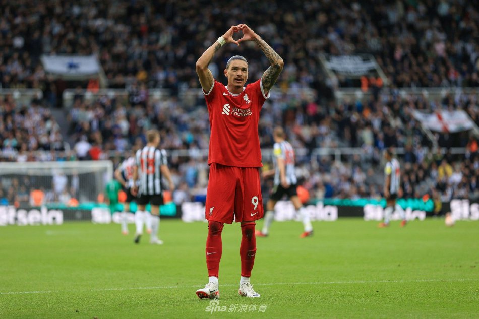 的双重魅力 的双重魅力